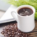 सोशल मीडिया मार्केटिंग के ज़रिए भारतीय कैफ़े का प्रचार