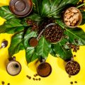 Coffee Grounds Recycling Tips for Sustainable Living in India