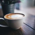 Small Coffee Farmers in India and Their Climate Change Vulnerability