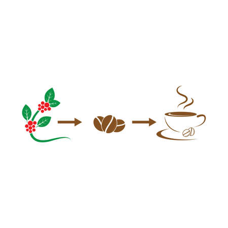 Ethiopian Coffee Ceremony: The Birthplace of Coffee