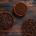 Coffee Trade in India: History & Present Impact on Indian Economy