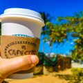 Fair Trade Initiatives for Coffee Production and Environmental Protection in India
