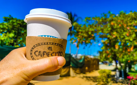 Fair Trade Initiatives for Coffee Production and Environmental Protection in India