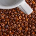 Ooty, Chikmagalur & Wayanad: Top Historic Coffee Regions in India