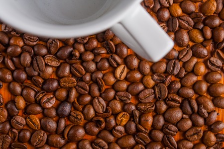 Ooty, Chikmagalur & Wayanad: Top Historic Coffee Regions in India