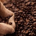 Expansion of Fair Trade Certified Coffee Plantations in Kerala