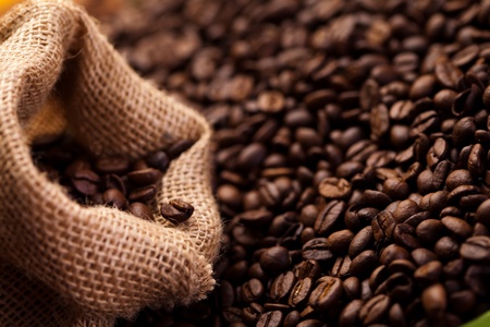 Expansion of Fair Trade Certified Coffee Plantations in Kerala