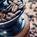 Arabica and Robusta coffee varieties grown in Karnataka’s hill regions