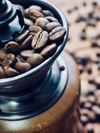 Arabica and Robusta coffee varieties grown in Karnataka’s hill regions