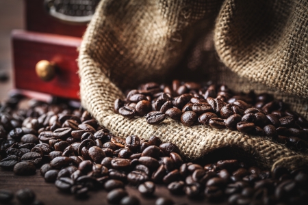 Ethical & fair trade branding and packaging ideas for Indian market