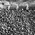 Indian Consumer’s Role: Reducing Carbon Footprint in Coffee Production